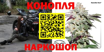 крисы Краснодар