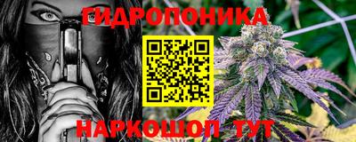 крисы Краснодар
