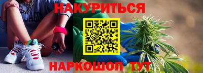 крисы Краснодар
