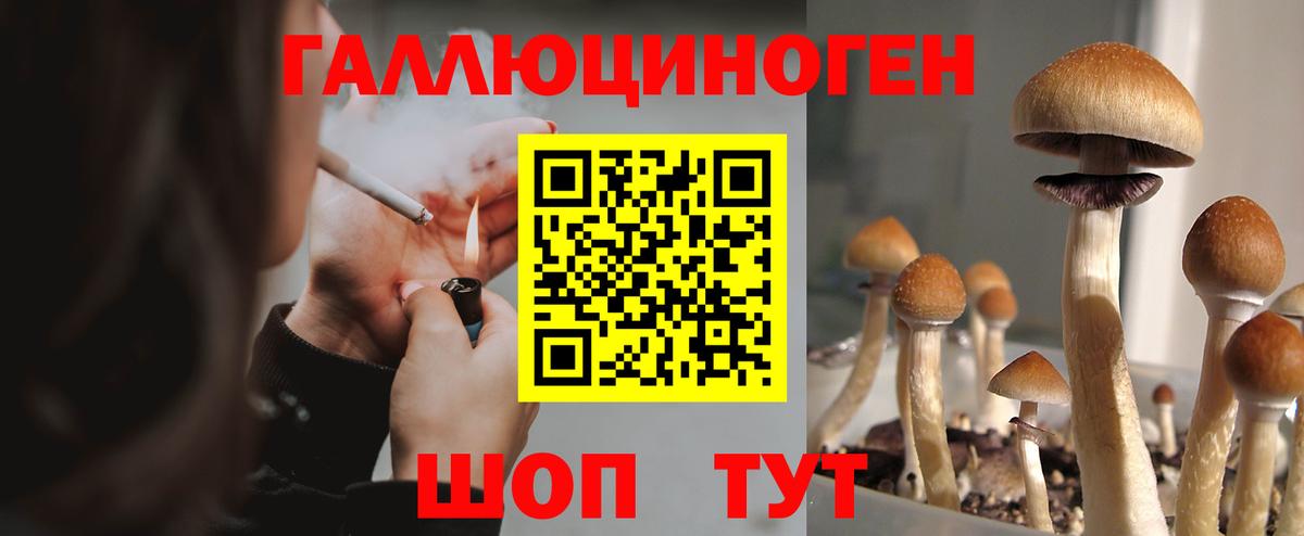 Клин  Галлюциногенные грибы мицелий  Вход с VPN 